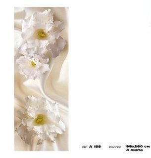 Фотообои Белая соната 98*260