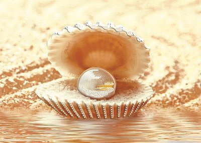 Фиджи D1  25*35