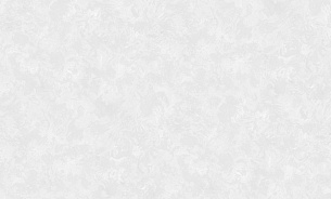 Обои WallSecret 8896-10 Elite 1,06*10м  