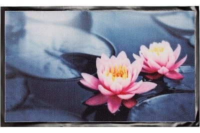 Коврик интерьерный PHOTOPRINT 45*75 Лотосы