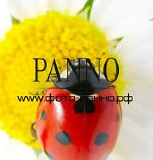 Фотообои самоклеящиеся 9002