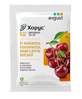 Средств для защиты растений от болезней Хорус 2г 