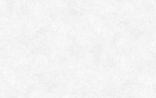 Обои Erismann 60560-02 Profi Deco Veter 1,06*10м 