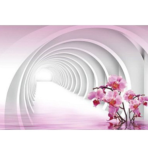 Фотообои Тоннель 400*270 кожа