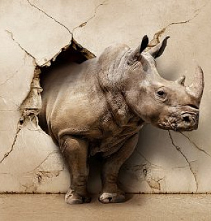 Фотообои D1-102 Носорог 400*270