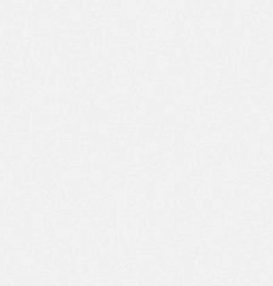 Обои NewAGe 9088-11NA 1,06*10м 