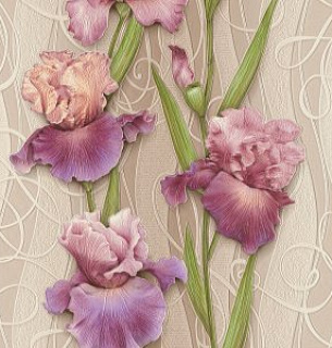 Обои Ирисы 757567-02