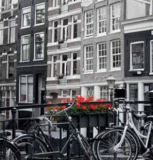 Фотообои В1-014 Велосипеды 200х270 см