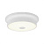 Светильник потолочный Фостер-2 Citilux CL706210 Белый