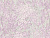 Обои Diamond 5051-18 1,06*10м  