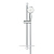 Душ-лифт GROHE TEMPESTA NEW Rustic IV 9,5л 27609001