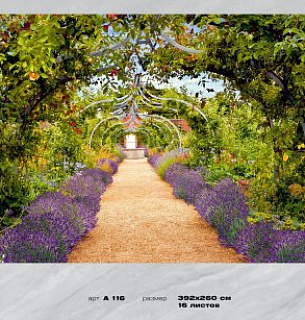 Фотообои Дорожка в саду 392*260