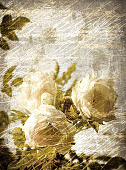Фотообои D1-082 Розы винтаж 200х270 см