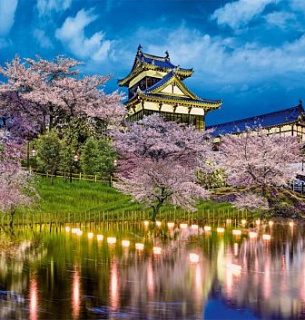 Фотообои А113 Шанхай 294*260