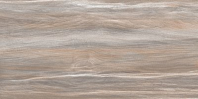 Плитка керамическая AltaCera Эсприт Вуд/ Esprit Wood WT9ESR21 250*500