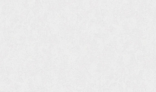 Обои Erismann 60756-03 Vesna 1,06*10м