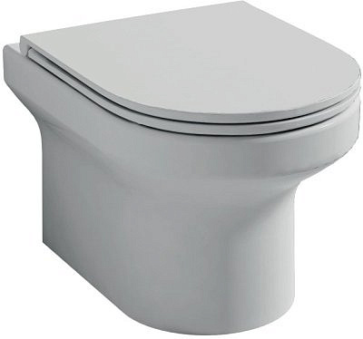 Унитаз подвесной Jacob Delafon Elite Rimless EDX114RU-00 безободковый+крышка микролифт