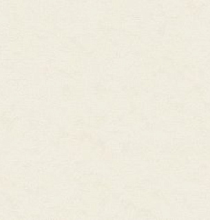 Обои AnturAGe 8892-22AN 1,06*10м 