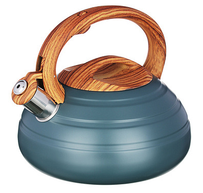 Чайник стальной 3.0л "Бенуа", индукция VETTA