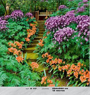 Фотообои Тенистый парк 294*260