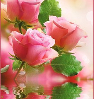 Фотообои А 005 Нежность