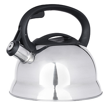 Чайник стальной 2.5л "Корсика" индукция (847-056)