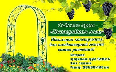 Арка ВИНОГРАДНАЯ ЛОЗА  (2х0,3х1,53м) (профиль 15х15х1,5мм)