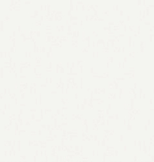 Обои AnturAGe 8890-02AN 1,06*10м 