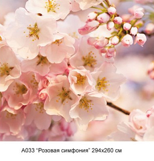 Фотообои А 033 Розовая симфония