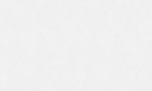 Обои Erismann 60731-02 Silk 1,06*10м
