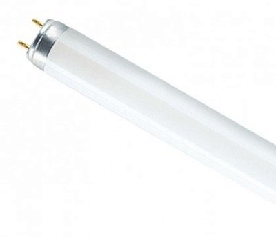 Лампа линейная люминесцентная Osram L 36W/765 Смоленск