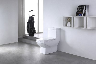 Моноблок EVA GOLD SM9006A с сиденьем