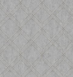 Обои NewAGe 8893-24NA 1,06*10м   