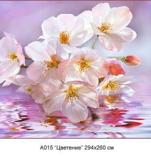 Фотообои А 015 Цветение