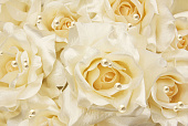 Фотообои Жемчужные розы 400*270 холст