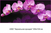 Фотообои А 002 Зеркальная орхидея