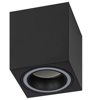Светильник настенно-потолочный спот ЭРА  46 OL  ВК  MR 16 GU10 IP20  черный