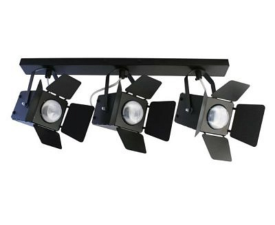 Светильник  ЭЛЕТЕХ Кино НПБ 013х-60-515 черный матовый /черный (ИМ)  