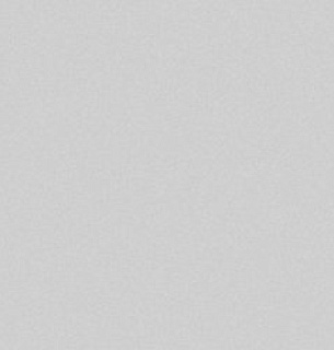 Обои AnturAGe 8890-06AN 1,06*10м 