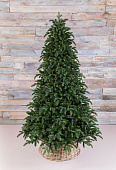 Ель ТРИУМФ Нормандия Пушистая  155 см темно-зеленая