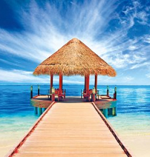 Фотообои Мосток 392*260