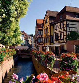 Фотообои Цветочный канал 300х270