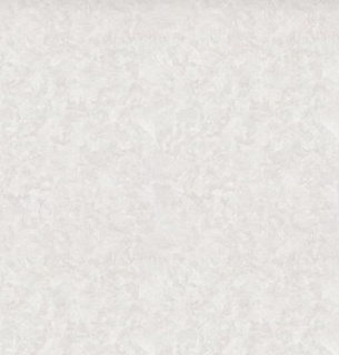 Обои HomeColor 72523-21НС 1,06*10м   