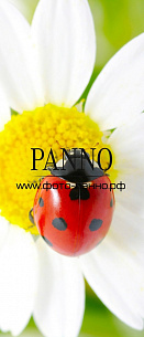 Фотообои самоклеящиеся 9002