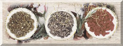 Liberi Декор DWU06LIB034 15х40