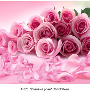 Розовые розы 268*196