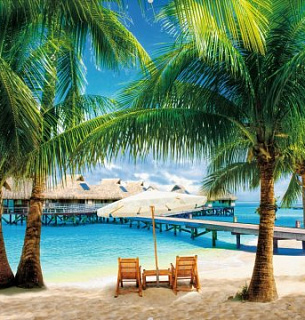 Фотообои Мальдивы 300*270 камушек