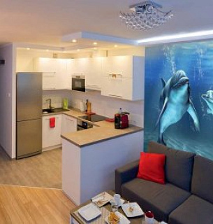 Фотообои D2-064 Два дельфина 300х238 см