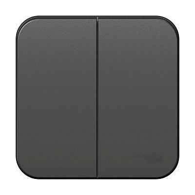 Механизм выключателя ОУ 2-класс антрацит BLNVA105016 (пластиковое основание, изолированная пластина) 10А