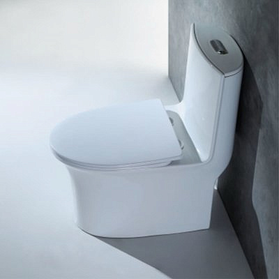 Моноблок EVA GOLD SM9612 безободковый с сиденьем дюропласт